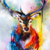 Paint by Numbers Kit Abstract Elk / Deer