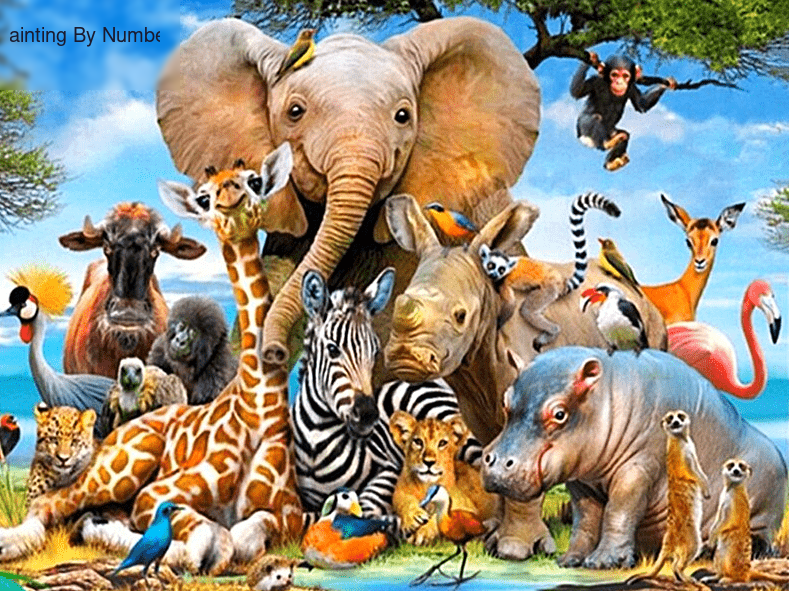 Animal Paradise Paint by Numbers Kit - DIY Art