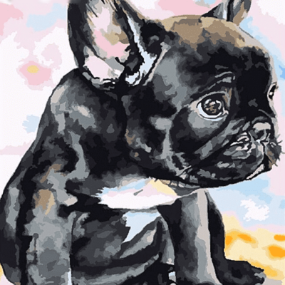 Black Puppy Dog Paint by Numbers Kit - DIY Art