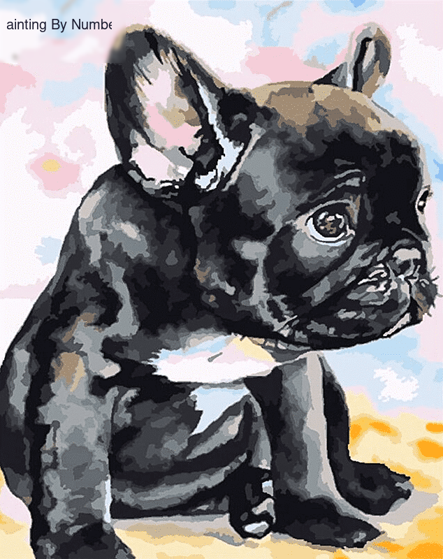 Black Puppy Dog Paint by Numbers Kit - DIY Art