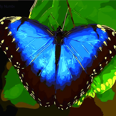 Blue Butterfly Paint by Numbers Kit - DIY Art