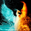 Blue Gold Phoenix Paint by Numbers Kit - DIY Art