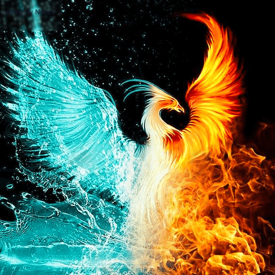 Blue Gold Phoenix Paint by Numbers Kit - DIY Art