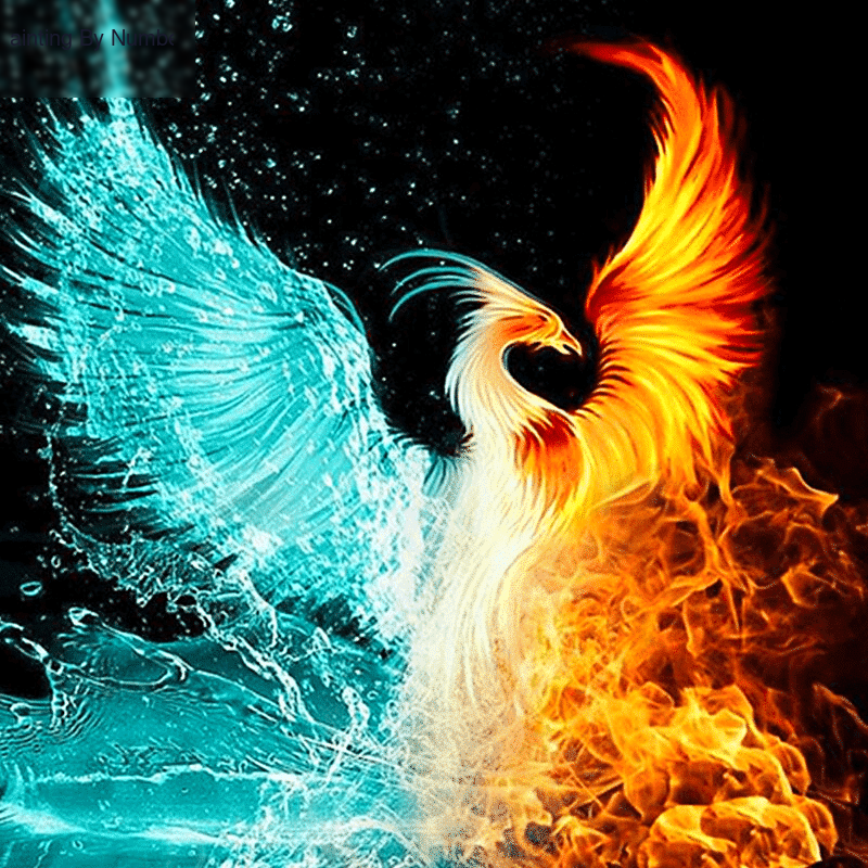 Blue Gold Phoenix Paint by Numbers Kit - DIY Art