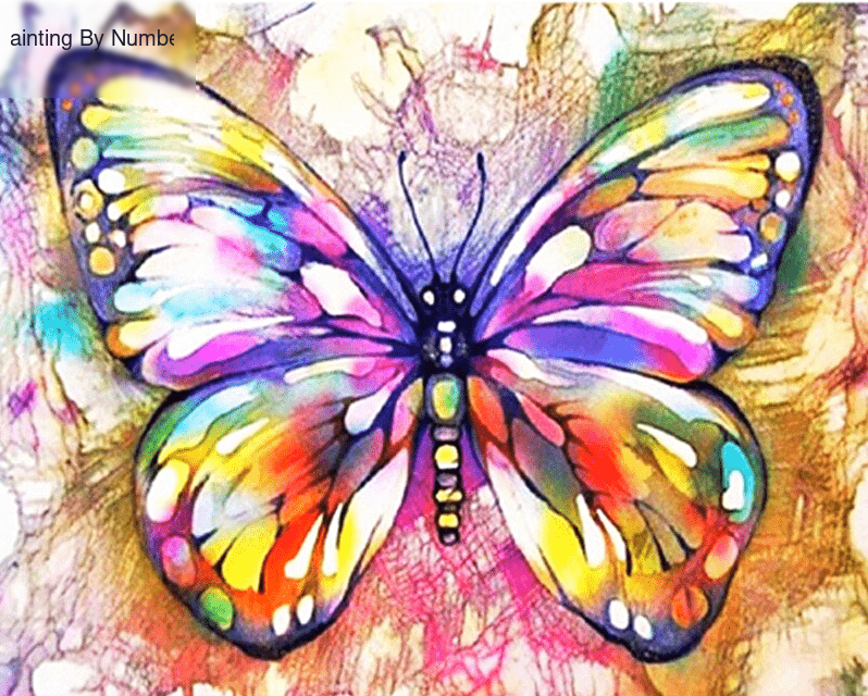 Colorful Butterfly Paint by Numbers Kit - DIY Art