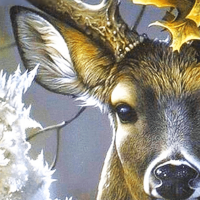 Deer Paint by Numbers Kit - DIY Art