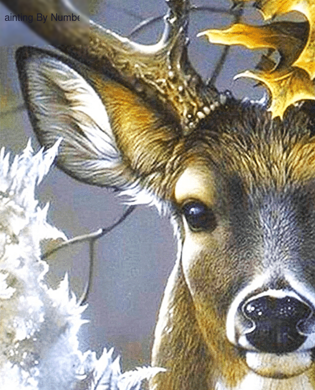 Deer Paint by Numbers Kit - DIY Art