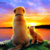 Dog and Cat Sunset Paint by Numbers Kit