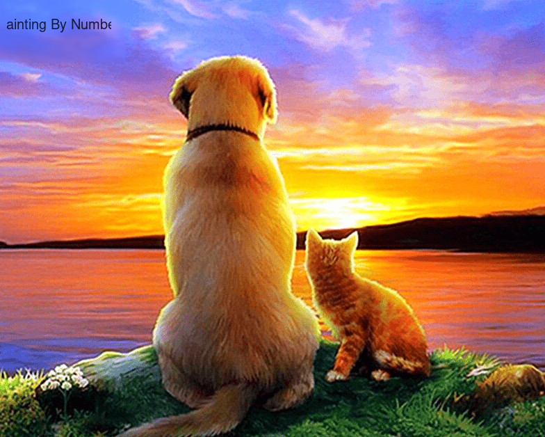 Dog and Cat Sunset Paint by Numbers Kit - DIY Art