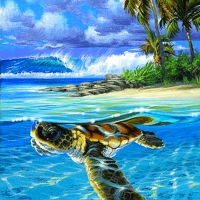 Drifting Turtle Paint by Numbers Kit - DIY Art