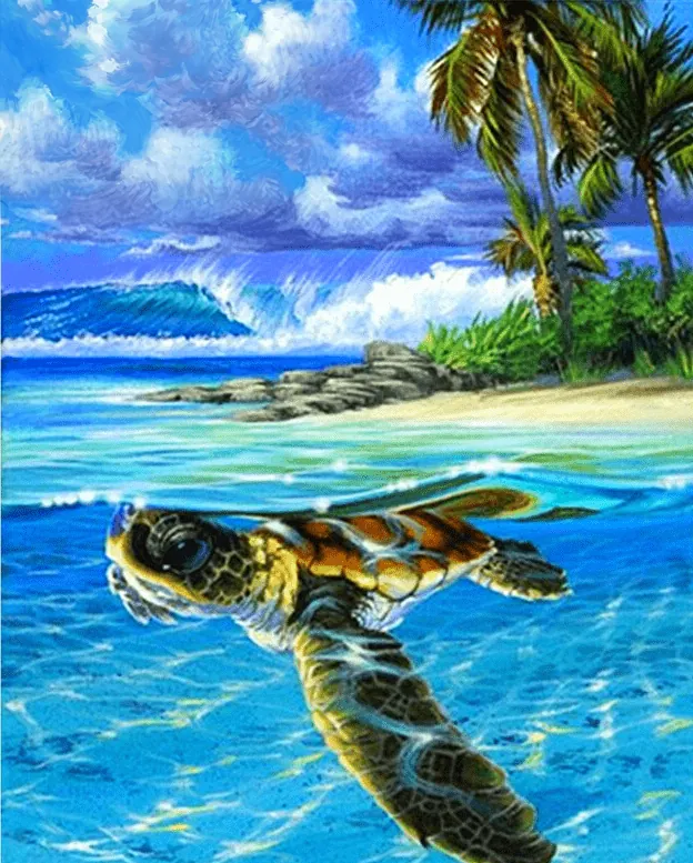 Kit de Pintar por Números Tortuga Nadadora