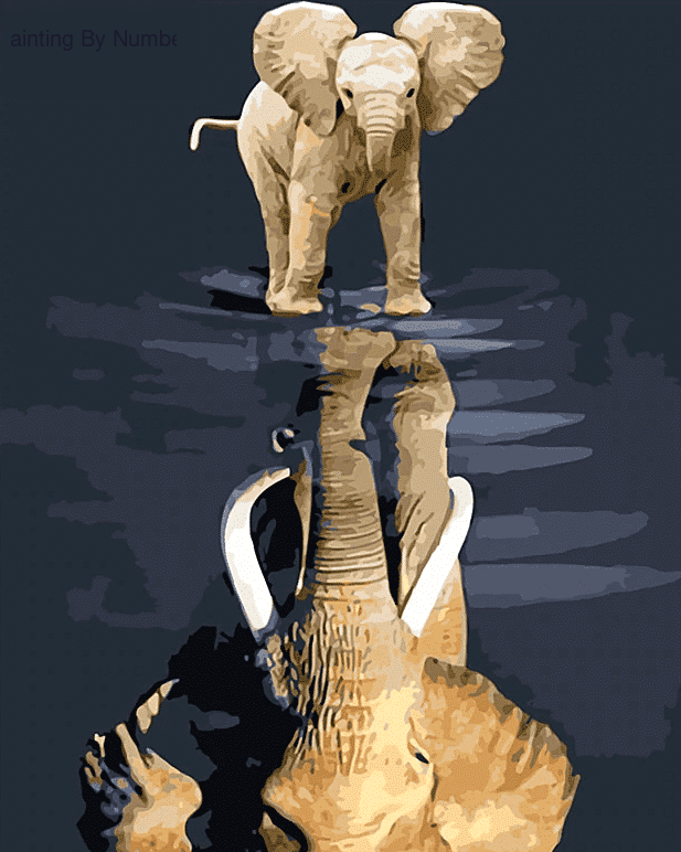 Elephant Baby Reflection Paint by Numbers Kit - DIY Art
