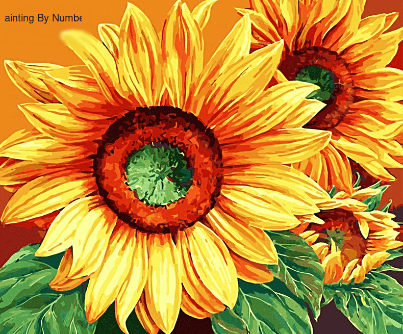 Flower Sunflower Paint by Numbers Kit - DIY Art