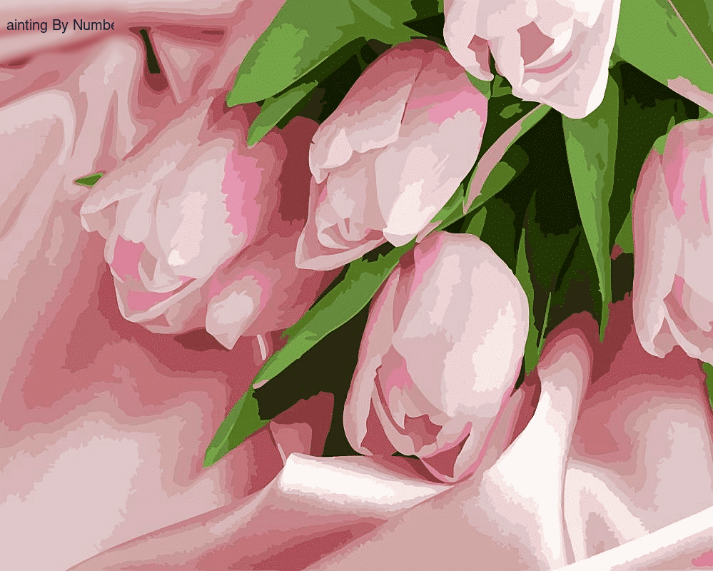 Flower Tulip Paint by Numbers Kit - DIY Art