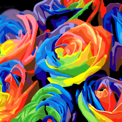 Flowers Colorful Roses Paint by Numbers Kit - DIY Art