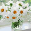 White Flowers Paint by Numbers Kit