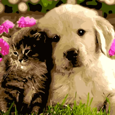 Paint by Numbers Kit Kitty and Puppy Dog