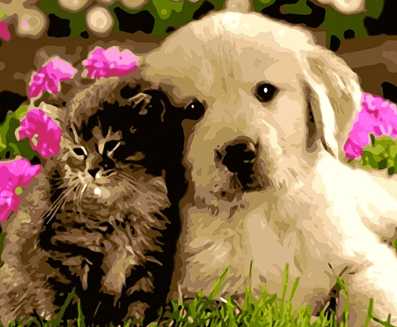 Paint by Numbers Kit Kitty and Puppy Dog