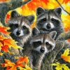 Paint by Numbers Kit Maple Tree Raccoons