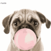 Pug Puppy Dog Paint by Numbers Kit