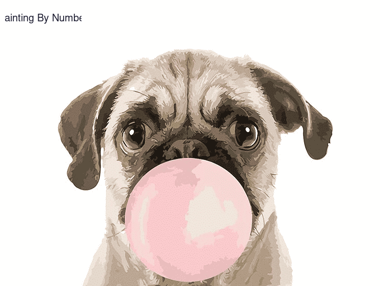 Pug Puppy Dog Paint by Numbers Kit - DIY Art