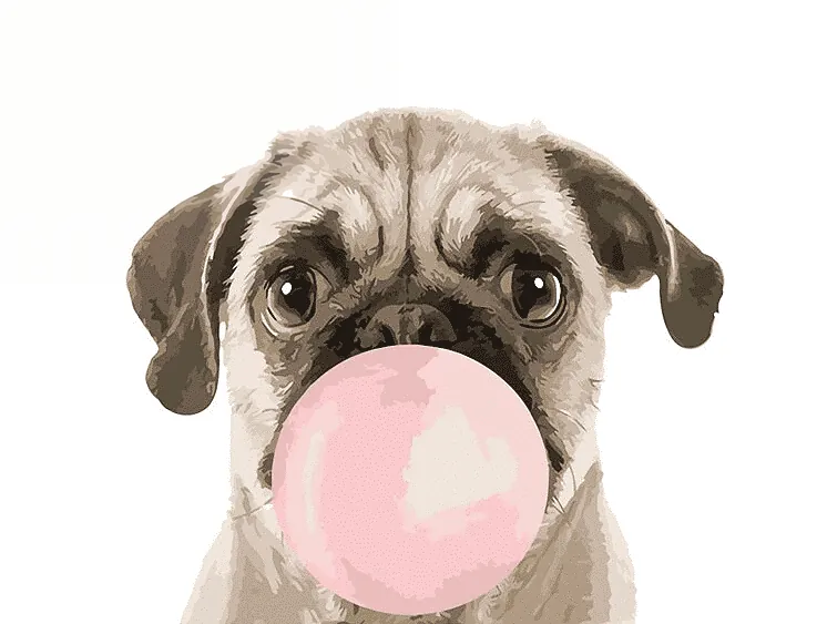 Pintar por Números Personalizado — Retrato de Perro desde Foto