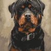 Dog Rottweiler Paint by Numbers Kit