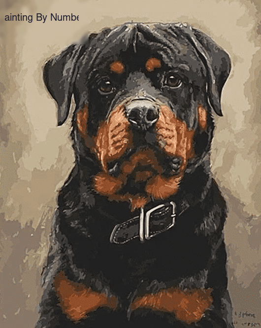 Paint by Numbers Kit Rottweiler Dog - Painting By Number