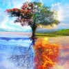 Paint by Numbers Kit Spring & Winter Tree Scenery