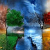 Tree thunders Paint by Numbers Kit - DIY Art