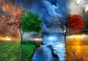 Tree thunders Paint by Numbers Kit - DIY Art