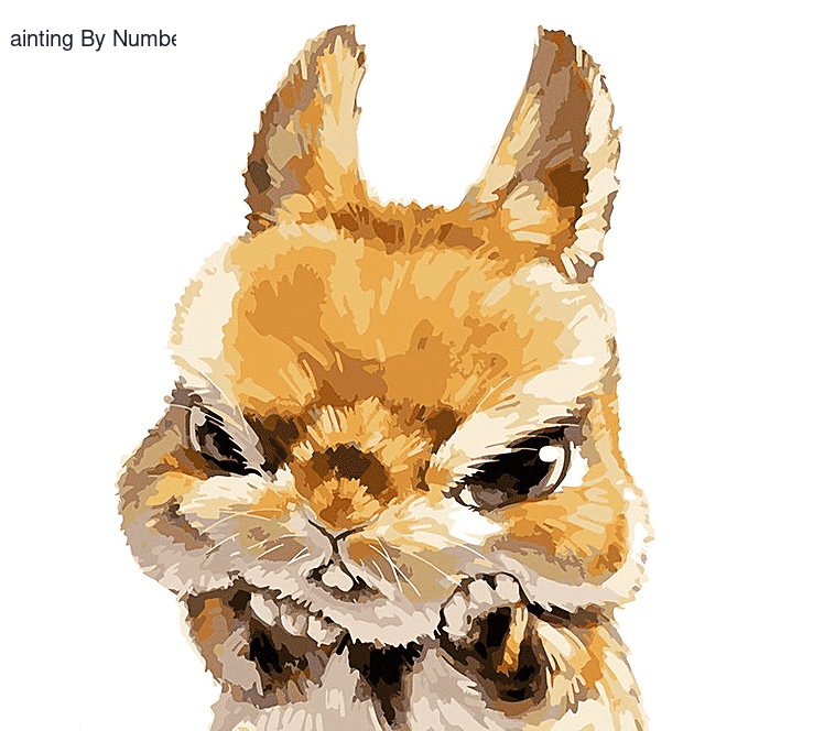 for Kids Bunny Paint by Numbers Kit - DIY Art