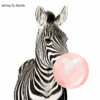 for Kids Zebra Paint by Numbers Kit