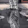 Reflection Cat Tiger Paint By Number Kit - Painting By Number