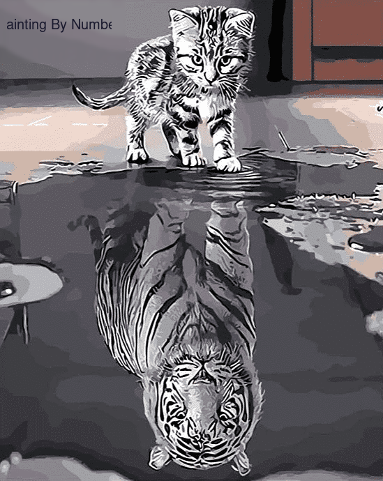 Reflection Cat Tiger Paint By Number Kit - Painting By Number