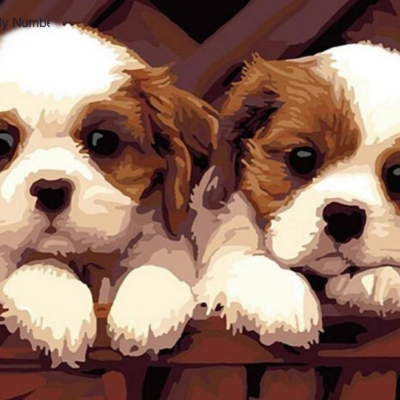 Two Puppies Paint by Numbers Kit - Painting By Number