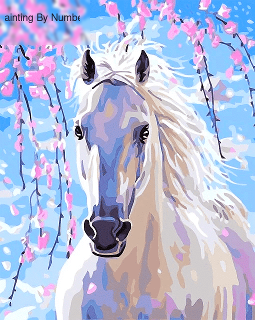Paint by Numbers Kit White Horse - Painting By Number