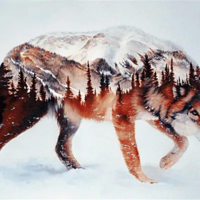 Paint By Numbers Kit Wolf Composition - Painting By Number