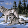 Two Wolves Paint by Number Kit - Painting By Number