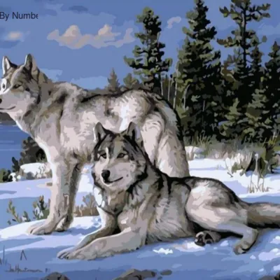 Two Wolves Paint by Number Kit - Painting By Number
